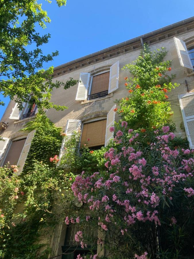 Cocooning Avignon Hotel Exterior foto