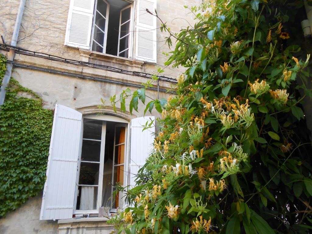 Cocooning Avignon Hotel Exterior foto